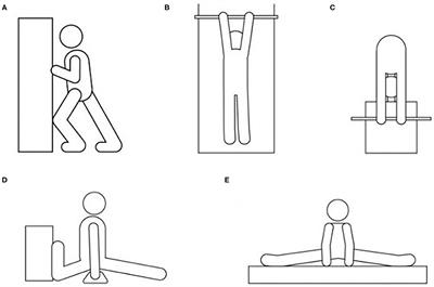 Sex and Age-Group Differences in Strength, Jump, Speed, Flexibility, and Endurance Performances of Swedish Elite Gymnasts Competing in TeamGym